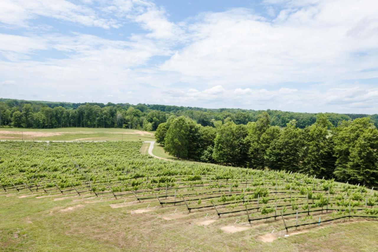 Holiday Inn Express & Suites Lexington North West-The Vineyard By Ihg Eksteriør billede